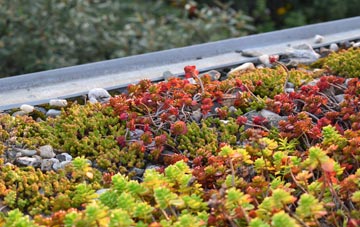 the cost of Agbrigg green roof installation