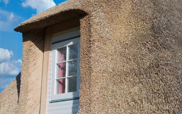 Agbrigg thatch roof disadvantages